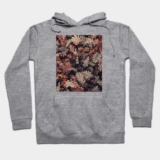 Autumn Leaves - HD Nature Hoodie